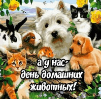 11 апреля -день домашних животных в России 11 апреля -день домашних животных в России.