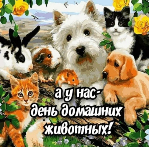 11 апреля -день домашних животных в России 11 апреля -день домашних животных в России.